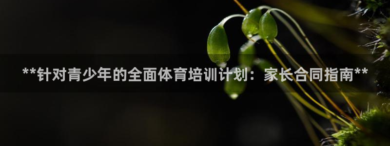 欧陆娱乐能不能玩手游：**针对青少年的全面体育培训计
