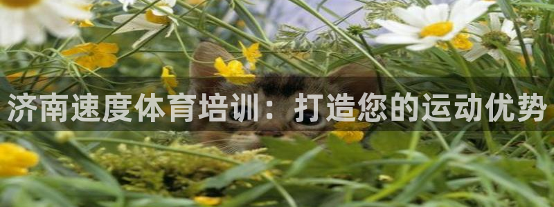欧陆娱乐平台咋样啊知乎：济南速度体育培训：打造您的运