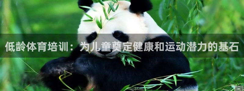 欧陆娱乐系统教程：低龄体育培训：为儿童奠定健康和运动