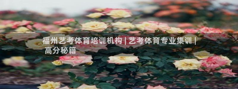 欧陆娱乐累计盈利多少就会被劝退呢知乎：福州艺考体育培