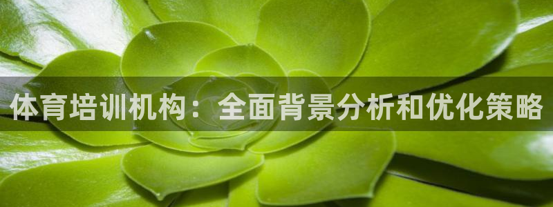 欧陆娱乐平台总代理：体育培训机构：全面背景分析和优化