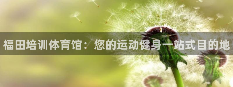 欧陆娱乐稳中：福田培训体育馆：您的运动健身一站式目的