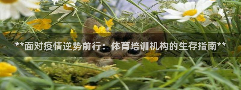 欧陆娱乐官方网站首页：**面对疫情逆势前行：体育培训