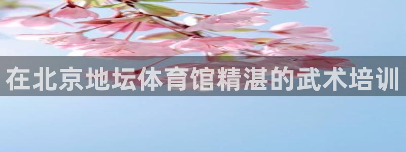 欧陆娱乐是干什么的：在北京地坛体育馆精湛的武术培训