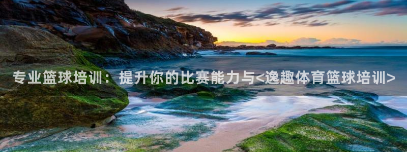 欧陆娱乐官网入口网址：专业篮球培训：提升你的比赛能力