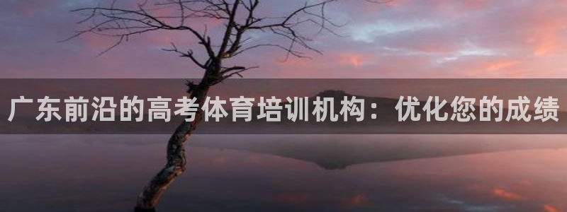 欧陆娱乐测速网站：广东前沿的高考体育培训机构：优化您