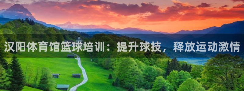 欧陆娱乐登录平台：汉阳体育馆篮球培训：提升球技，释放