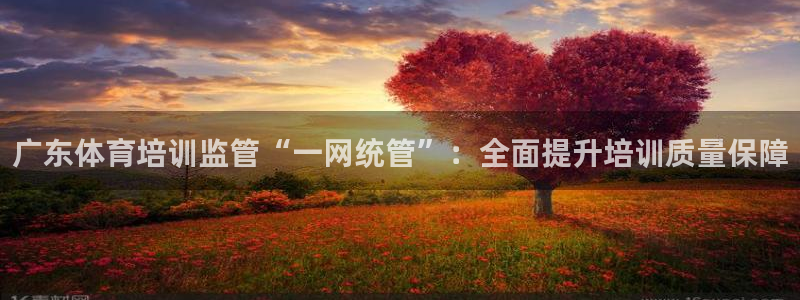 欧陆娱乐app攻略大全：广东体育培训监管“一网统管”