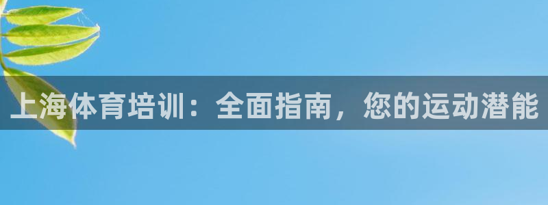 欧陆娱乐app攻略：上海体育培训：全面指南，您的运动