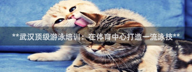 欧陆娱乐注册代理多少钱：**武汉顶级游泳培训：在体育
