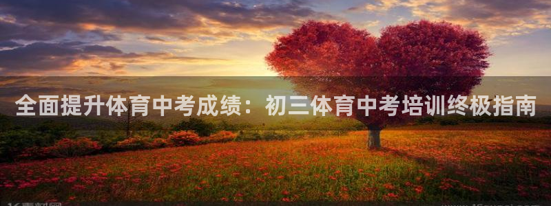 欧陆娱乐平台登录不上：全面提升体育中考成绩：初三体育