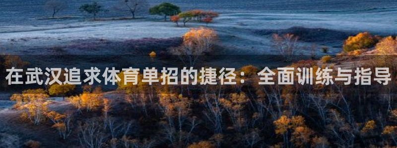 欧陆娱乐登陆官网：在武汉追求体育单招的捷径：全面训练