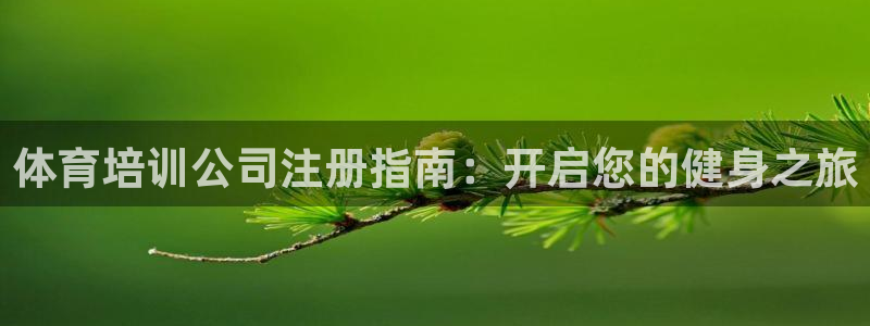 欧陆娱乐挂机项目怎么设置：体育培训公司注册指南：开启