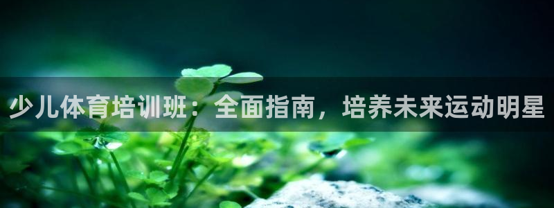 欧陆娱乐注册平台：少儿体育培训班：全面指南，培养未来