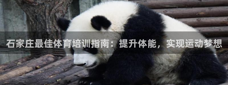欧陆娱乐注册链接怎么弄：石家庄最佳体育培训指南：提升