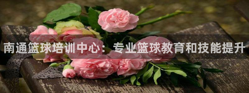 欧陆娱乐怎么注册账号啊：南通篮球培训中心：专业篮球教