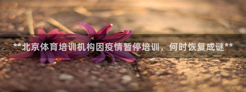 欧陆娱乐脚本怎么下载：**北京体育培训机构因疫情暂停