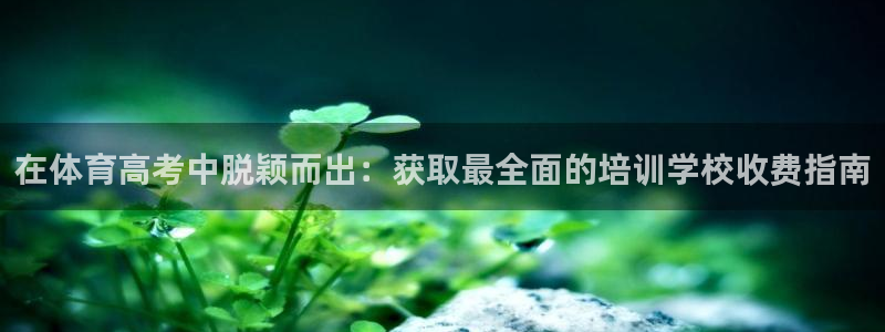欧陆娱乐平台登陆地址在哪：在体育高考中脱颖而出：获取