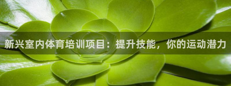 欧陆娱乐登陆平台：新兴室内体育培训项目：提升技能，你