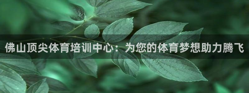 欧陆娱乐注册代理多少钱一年：佛山顶尖体育培训中心：为