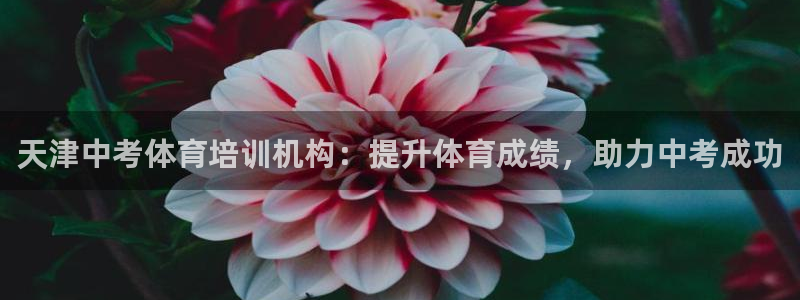 欧陆娱乐注册链接安全吗知乎