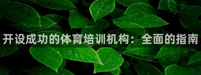 欧陆娱乐平台官网入口