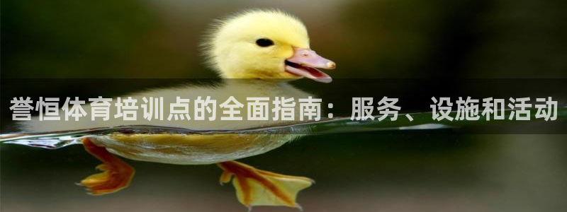 欧陆娱乐打什么方案