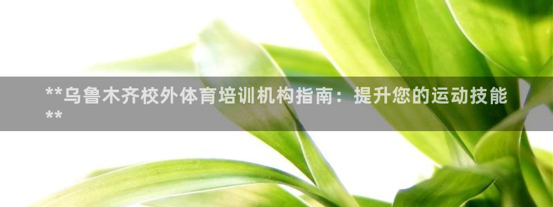 欧陆娱乐公司产品介绍大全：**乌鲁木齐校外体育培训机