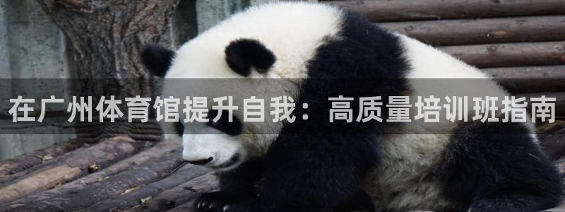 欧陆娱乐安全吗：在广州体育馆提升自我：高质量培训班指