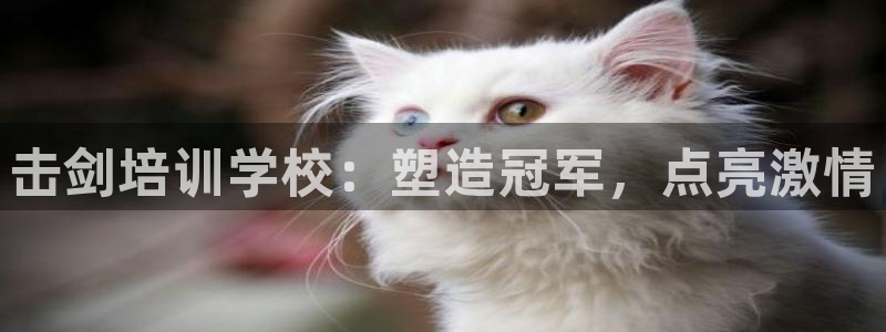 欧陆娱乐计划app官方正版安装下载：击剑培训学校：塑