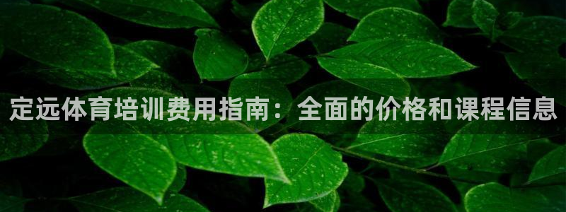 欧陆娱乐挂机怎么玩：定远体育培训费用指南：全面的价格