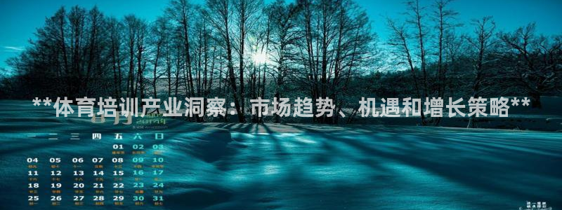 欧陆娱乐是干什么的：**体育培训产业洞察：市场趋势、