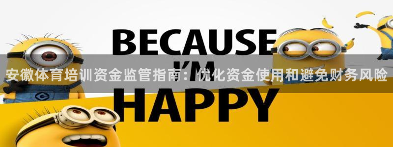 欧陆注册码：安徽体育培训资金监管指南：优化资金使用和