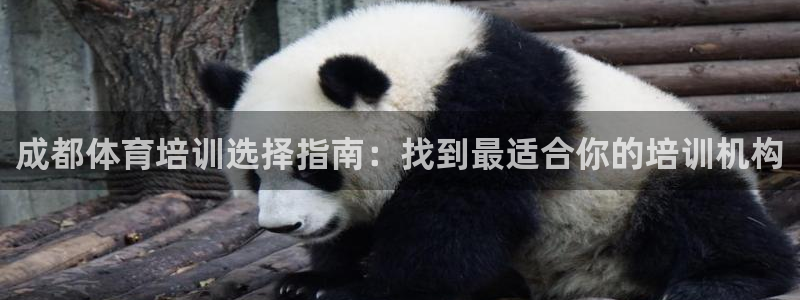 欧陆娱乐注册代理：成都体育培训选择指南：找到最适合你
