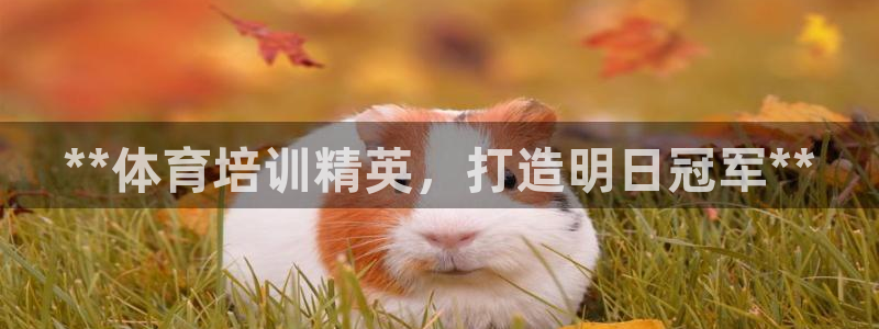 欧陆娱乐代理多少个点位：**体育培训精英，打造明日冠