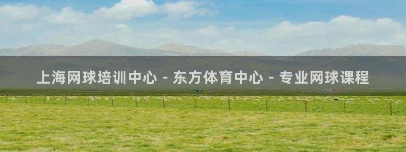欧陆娱乐怎么注册会员的：上海网球培训中心 - 东方体