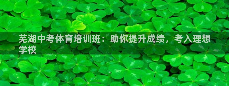 欧陆官网下载：芜湖中考体育培训班：助你提升成绩，考入