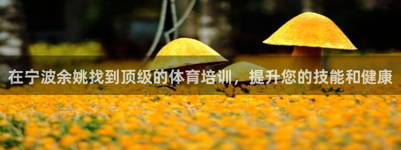欧陆娱乐登录测速怎么关闭：在宁波余姚找到顶级的体育培