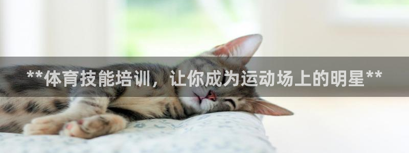 欧陆娱乐公司产品介绍怎么写：**体育技能培训，让你成