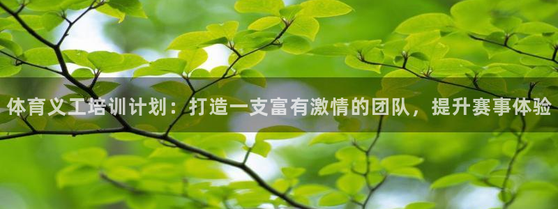 欧陆娱乐是资金盘吗：体育义工培训计划：打造一支富有激