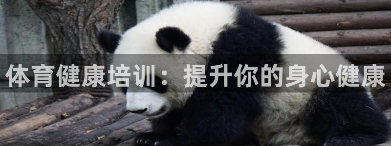 欧陆娱乐官方网站入口：体育健康培训：提升你的身心健康