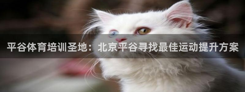 欧陆娱乐代理多少个点位合适：平谷体育培训圣地：北京平