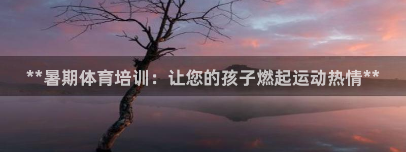 欧陆娱乐是那个旗下的品牌公司：**暑期体育培训：让您