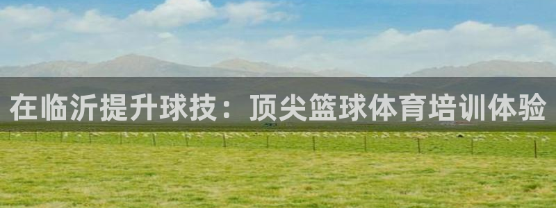 欧陆娱乐挂机项目有哪些：在临沂提升球技：顶尖篮球体育