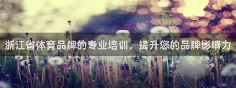 欧陆娱乐脚本：浙江省体育品牌的专业培训，提升您的品牌