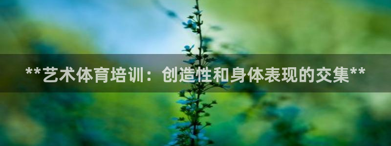 欧陆娱乐官网注册中心：**艺术体育培训：创造性和身体