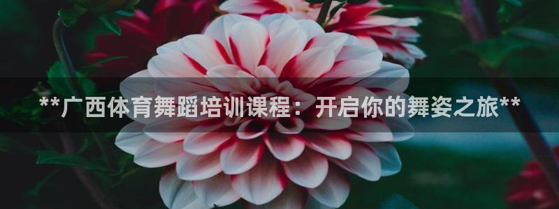 欧陆娱乐登录官网入口：**广西体育舞蹈培训课程：开启