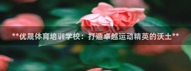 欧陆娱乐注册链接安全吗可靠吗：**优晟体育培训学校：