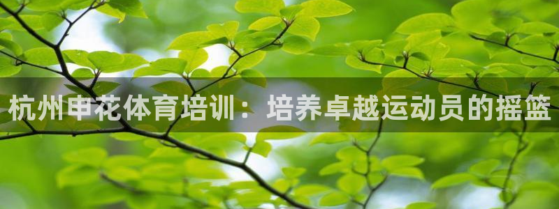 欧陆娱乐官网首页入口：杭州申花体育培训：培养卓越运动员的摇篮