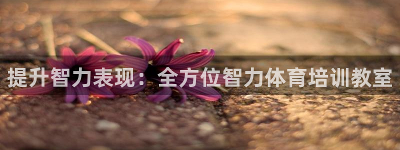 欧陆娱乐代理多少个点位合适：提升智力表现：全方位智力体育培训
